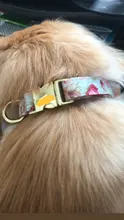 Collar personalizado para perros y gatos, collarín de nailon con grabado personalizado para identificación de mascotas, talla pequeña, mediana y grande