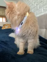 Collar para perro recargable por USB, emisor de luz, TPU, puede cortar la luz de seguridad para perros pequeños y medianos