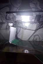 Bombilla de lámpara para reptiles y tortugas, luz de ahorro de energía de 13w y 26w para reptiles, serpiente, lagarto Lguanas, de calor y calcio, UVB 5,0 10,0