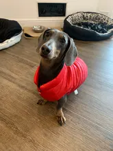 De invierno abrigo para perros ropa para perros cálido espesar sólido perro de colores ropa para perro pequeño perro rojo verde Navidad estilo perro grande chaqueta