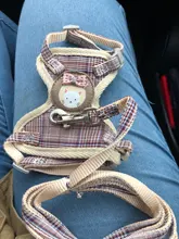 Chaleco protector antiescape para perros y gatos, arnés suave y ajustable, correa para caminar