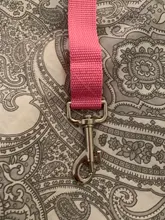 Correa ajustable para cinturón de seguridad de coche, Protector de seguridad para mascotas, accesorios de viaje al aire libre, arnés sólido de separación, suministros para mascotas