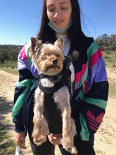 Mochila ajustable para transportar mascotas, canguro, transpirable, portador de perro cachorro, bolsa de viaje