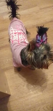 Ropa para Perro barata, adorable chaleco para Perro, camiseta para mascotas, disfraz para perros, Ropa de algodón para cachorros, trajes para perros pequeños