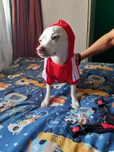 Sweatshirt Hooded Adidog Four-Seasons Pet-Jacket Small Cotton Warm And Medium-Sized Hot-Sale