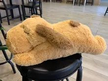 Juguete de entrenamiento de Mascota de peluche para cachorros, alivio de la ansiedad, ayuda para dormir, mordedores de juguete para perros