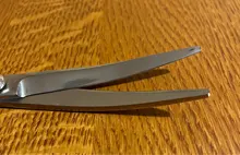 Scissors Pet-Supplies Dog Stainless-Steel Portable Cat And