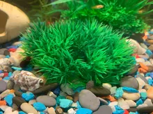 Aquarium Decorative Turf-Ornaments Landscape-Accessories Simulation-Plant Plastic 1pcs/artificial