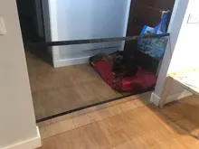 Gate Playpen Barrier Pet-Products-Accessories Pet-Wire-Mesh Dog-Fence Mesh-Door Security-Gate