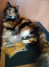 200 unids/bolsa 16 20 25 30 35 40 45 50mm cabeza de ojo Pins clásicos 7 colores plateados alfileres con ojetes para hallazgos de joyería haciendo suministros DIY