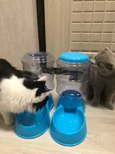 Bebederos de Alimentación de Mascotas de plástico de 3,8l Alimentador automático para gatos y perros, cuenco de agua para mascotas