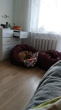 Portátil mordedores de juguete para perros discos voladores perro juguetes interactivos anillo de formación al aire libre para la pequeña mascota grande perro movimiento productos de herramientas