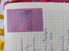 50 hojas de sol pegatinas de etiqueta de palo de Scrapbooking diario álbum papelería pintura flor etiqueta engomada Accesorios