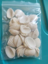 Herramientas de llenado de conchas naturales, relleno de estilo del océano, decoración de concha artesanal, molde de resina Epoxy, herramientas de llenado de joyas, 50 g/paquete