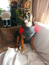 Jacket Puppy-Clothing Dog-Coat Dogs Golden-Retriever Waterproof Winter Pet-Vest Small