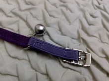 Collar de gato con campana para gatos, cachorros, collares correas para gatos, perros, Chihuahua, Gato, correas, suministros de plomo para mascotas