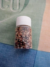 10g/50g Messor structor hormiga cosechadora comida mezclada cereales granja de hormigas comer hormigas nido taller para hormiguero hormigero Accesorios