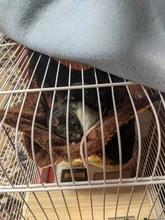 Hot Set Double Thick Plush Warm Bed Rat Hammock for Hamster House Hanging Nest Sleeping