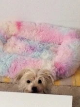 Cama de peluche larga rectangular para perro, antideslizante, botón cálido, cojín para cachorro de invierno, alfombra mascota suministros para perro pequeño, mediano y grande