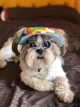 Gafas de protección contra el desgaste para perros y gatos adorables, productos para mascotas, protección contra el desgaste, gafas de sol, fotos, accesorios para mascotas, 1 ud.