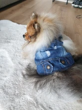 Chaleco vaquero de primavera para perros pequeños, ropa de Tzu para perros Yorkshire Terrier, ropa estilo vaquero para cachorros, chaqueta para Chihuahua, ropa para gatos