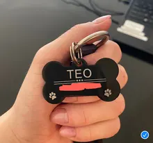 Etiqueta de identificación de mascotas de acero inoxidable, etiquetas de nombres de perro y gato, accesorios de Collar personalizados, oro, plata, rosa, oro, negro, grabado gratis