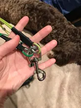 Dog-Leash-Rope Table Grooming-Loop for Bath Pet-Dog-Cat