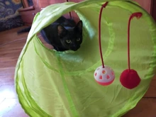 Juguete de túnel para mascotas, tubos de juego con 2 agujeros, bolas plegables, antiarrugas, para cachorros, hurones y conejos