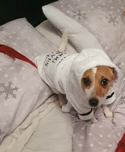 Pijama para perro cachorro, ropa para mascotas suaves, abrigo para perros y gatos, disfraz para perros pequeños, medianos, Chihuahua, Bulldog Francés, Pug