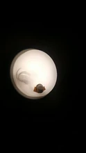 Sensor de movimiento por infrarrojos PIR, interruptor de luz automática, Sensor PIR, interruptor inteligente, 110V, 220V