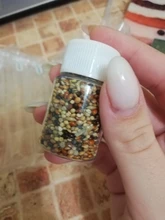 10g/50g Messor structor hormiga cosechadora comida mezclada cereales granja de hormigas comer hormigas nido taller para hormiguero hormigero Accesorios