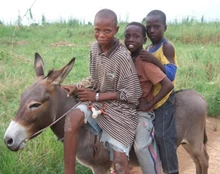 1MHz-6,5 GHz K18 Multi-función Anti-espía, Detector de cámara GSM Detector de errores de Audio señal GPS lente de RF rastreador detectar productos inalámbricos