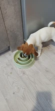 Cuenco para comida antichoke para perros cuencos de comida para perros y cachorros de comer lento, plato alimentador, suministros para mascotas, más estilo