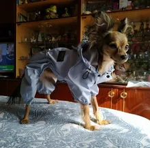 Ropa de perro impermeable de malla transpirable, mono absorbente para el sudor, abrigo reflectante para mascotas, Otoño e Invierno