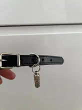 Nuevo plata/oro Gato Etiqueta de perro-perro ID Tag para perros, gatos, Antipérdida nombre etiqueta de dirección de identidad cuello tubo productos para mascotas