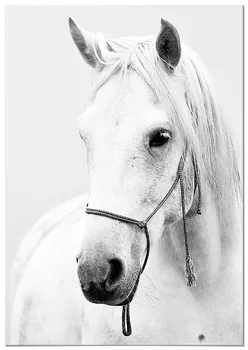 Panorama Canvas Picture Horse - Printed on Canvas - Animals Wall Art - Animal Print Pictures - Modern Art Print for Walls - Animal Photos - Home Decoration
Panorama Canvas Picture Horse - Printed on Canvas - Animals Wall Art - Animal Print Pictures - Modern Art Print for Walls - Animal Photos - Home Decoration