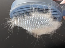 Peine automático para mascotas, cepillo eliminador de pelo Gato, peine para limpieza de belleza de perros, productos para mascotas