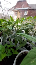 Planting-Bags Nursery-Bags Seedling-Pots Biodegradable Fabric Non-Woven Aeration Eco-Friendly