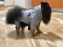 Ropa de perro impermeable de malla transpirable, mono absorbente para el sudor, abrigo reflectante para mascotas, Otoño e Invierno