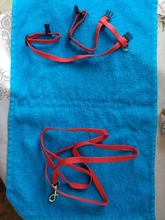 Conjunto de arnés y correa de Escape para gato, arnés ajustable para cachorro, y gato perro pequeño, correa de nailon para caminar al aire libre