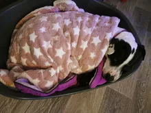 Estera de Franela suave para mascotas, cama gruesa para perros pequeños, medianos y grandes, manta Gato caliente para dormir