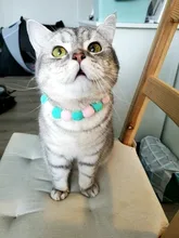 Bola de peluche de Collar para perros y gatos Collar dulce bufanda para perro lindo gatito accesorios Rosa correa para el cuello perrito con perla perro Pug Chihuahua