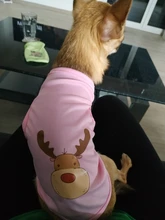 Prendas de verano para perro ropa para mascotas para perro chaleco camisa perros abrigados en invierno ropa de mascotas Chihuahua ropa para Yorkshire para perros