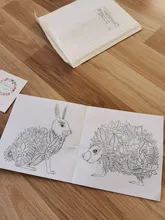24 páginas de la edición en inglés de bosque encantado libros para colorear para adultos niños Anti estrés pintura dibujo arte coloración libro