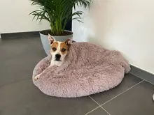 De Lujo Peluche de Mascota para cama mantas gato durmiendo tapetes para cachorro invierno cálido delgada perrera cojín suave de cubiertas para perros grandes colchón