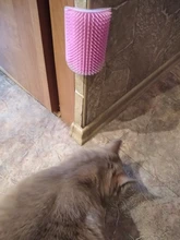 Peine de masaje para gatos, rascador automático, cepillo de esquina de pared, cerdas para rascar, arco de juguete para mascotas, herramienta de depilación de plástico