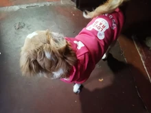 Ropa de dos patas para mascotas, abrigo cálido de lana con dibujos animados para perros y gatos, con orejas grandes, Otoño e Invierno