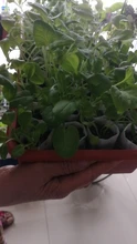 Planting-Bags Nursery-Bags Seedling-Pots Biodegradable Fabric Non-Woven Aeration Eco-Friendly