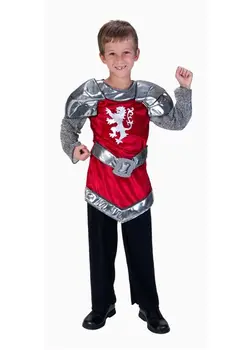Knight costume 
Knight costume