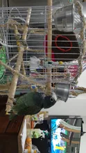 Hammock House-Toys Bird Nest Hanging-Cage Parrots Parakeet Windproof-Supplies Cave Round